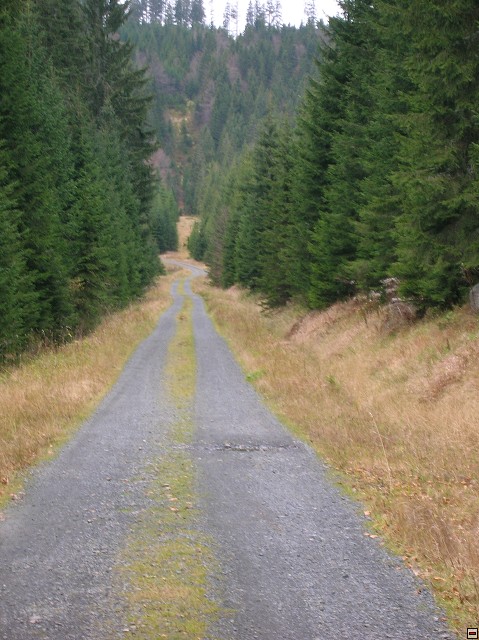 img00027.jpg