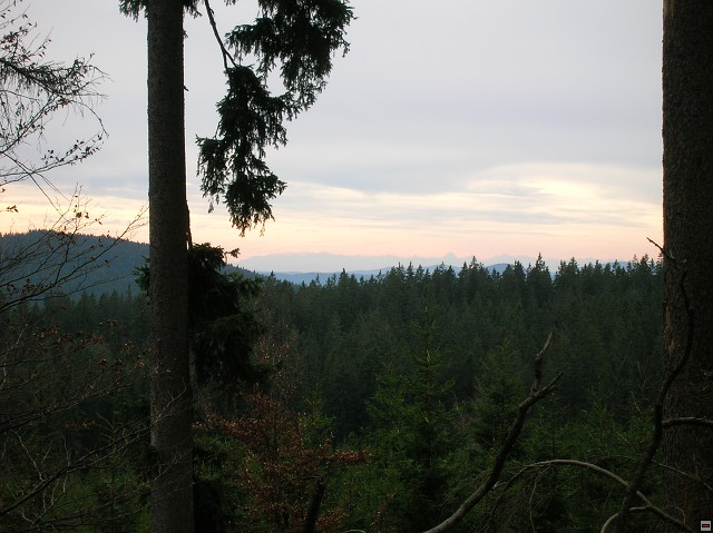 img00030.jpg