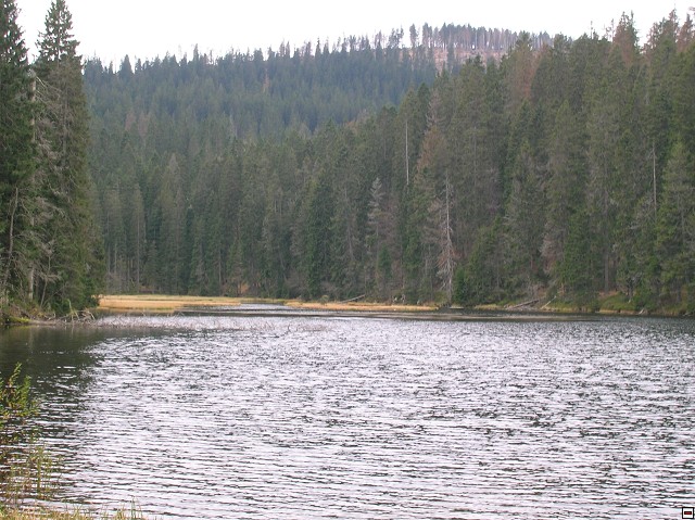 img00032.jpg