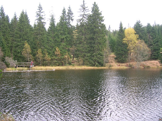 img00035.jpg