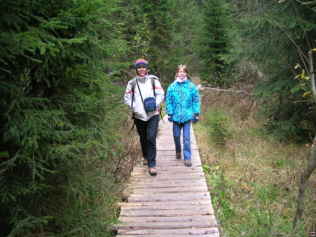 img00036.jpg