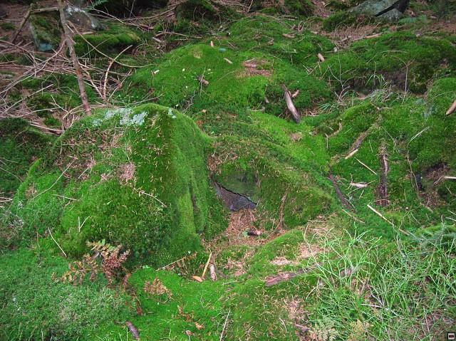 img00037.jpg