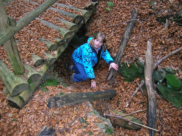 img00040.jpg