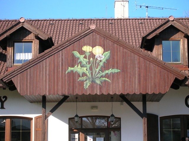 img00047.jpg