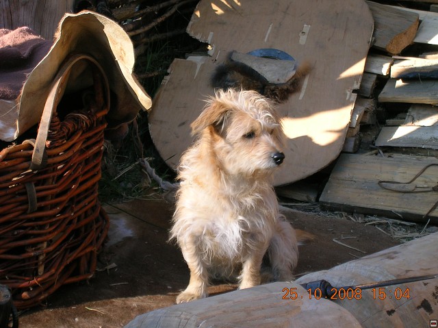 img00054.jpg