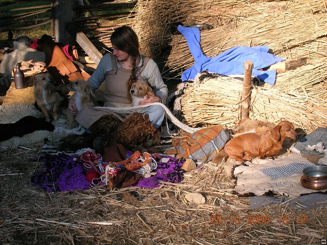 img00056.jpg
