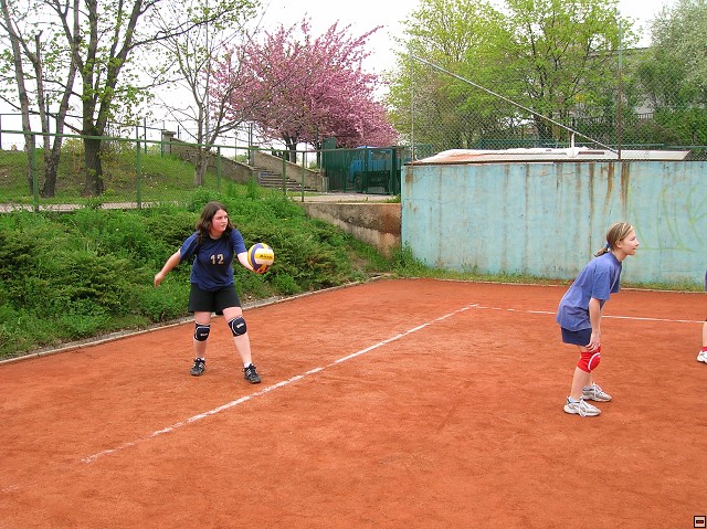 img00049.jpg