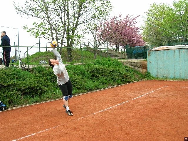 img00050.jpg