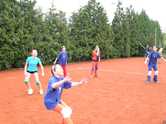 img00066.jpg