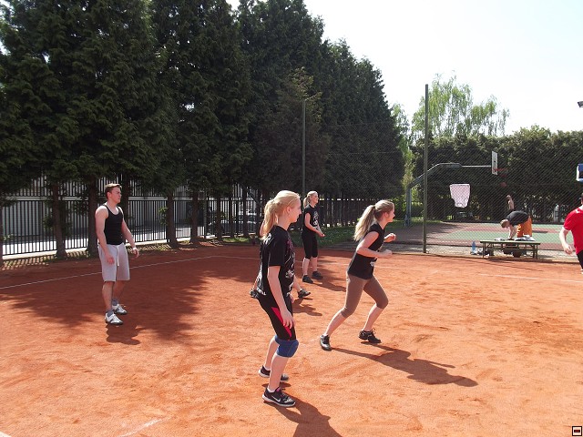 img00016.jpg
