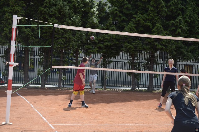img00043.jpg