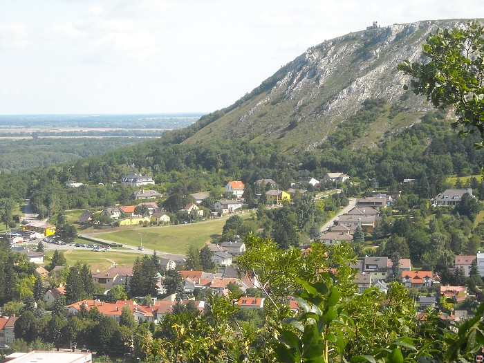 img00017.jpg