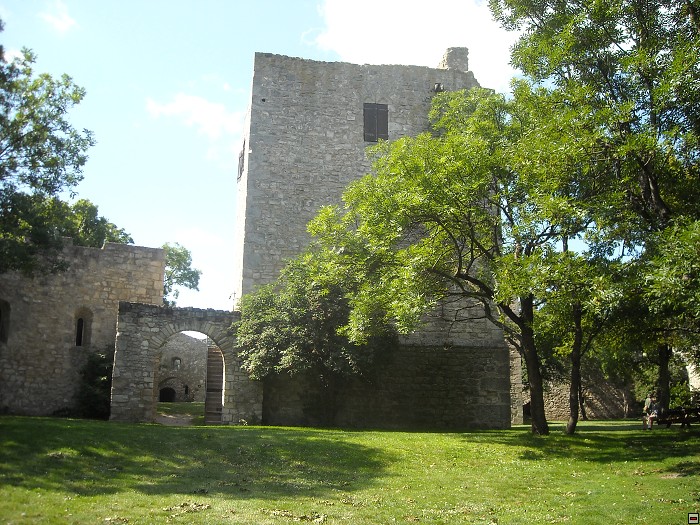 img00026.jpg