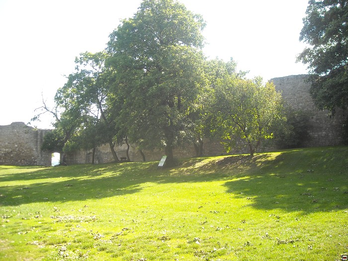 img00027.jpg