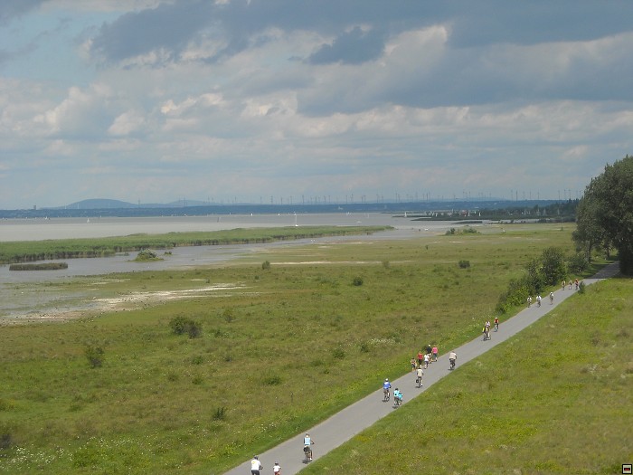 img00030.jpg