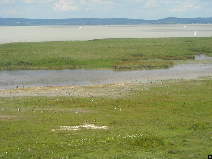 img00036.jpg