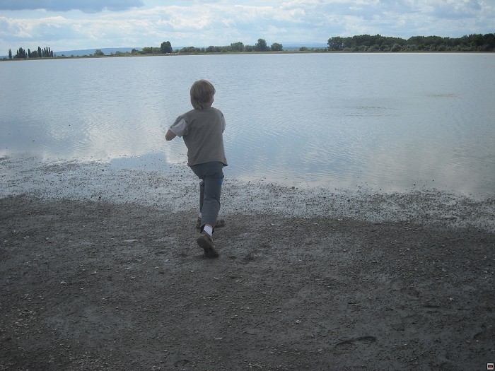 img00037.jpg