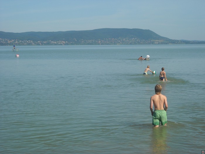 img00041.jpg
