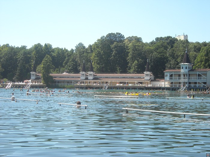 img00056.jpg