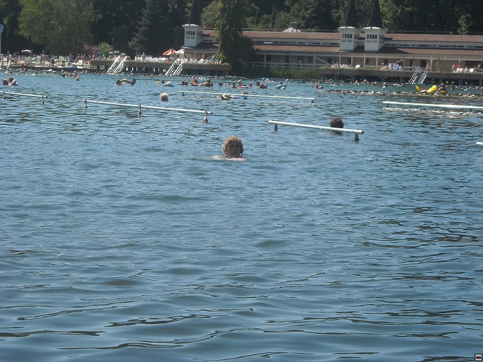img00063.jpg