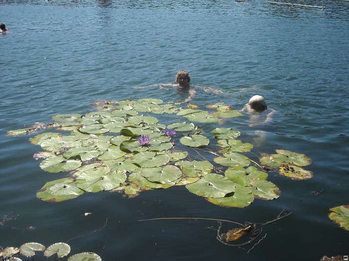img00069.jpg