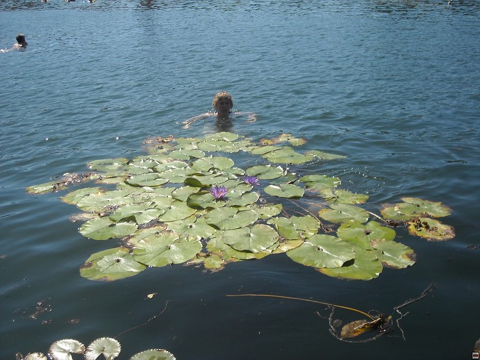 img00070.jpg