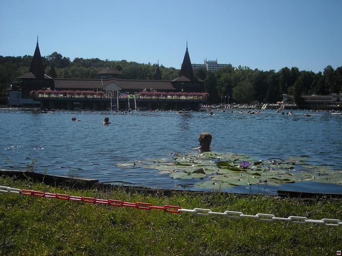 img00072.jpg