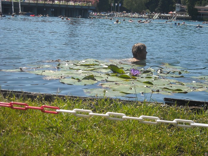 img00073.jpg