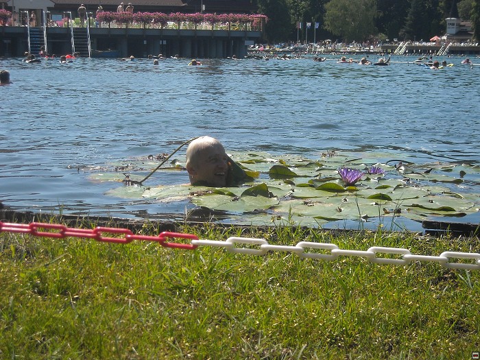 img00074.jpg