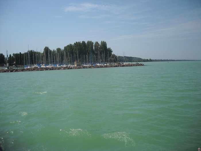 img00084.jpg