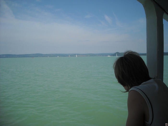 img00085.jpg