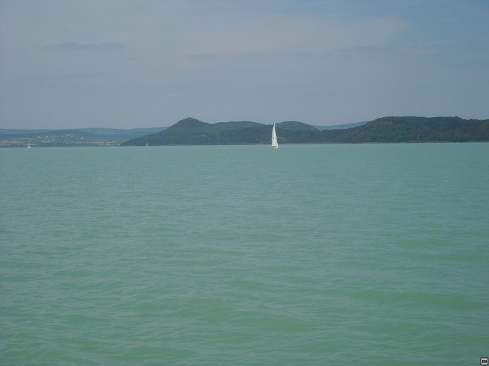 img00090.jpg