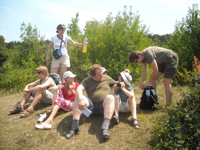 img00106.jpg