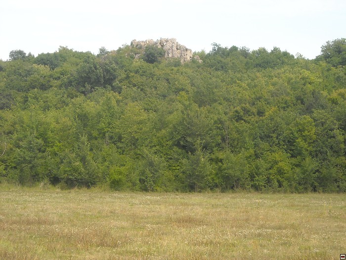 img00109.jpg