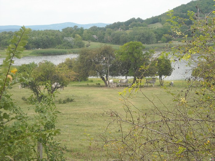 img00113.jpg