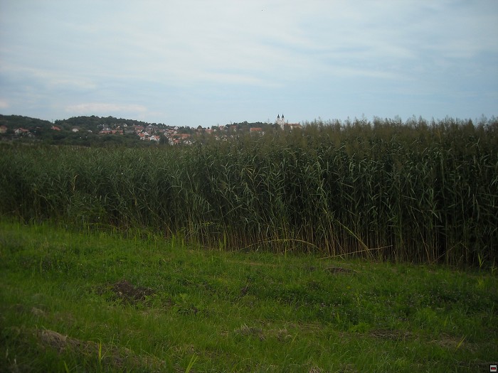 img00117.jpg