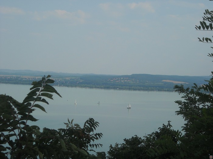 img00130.jpg