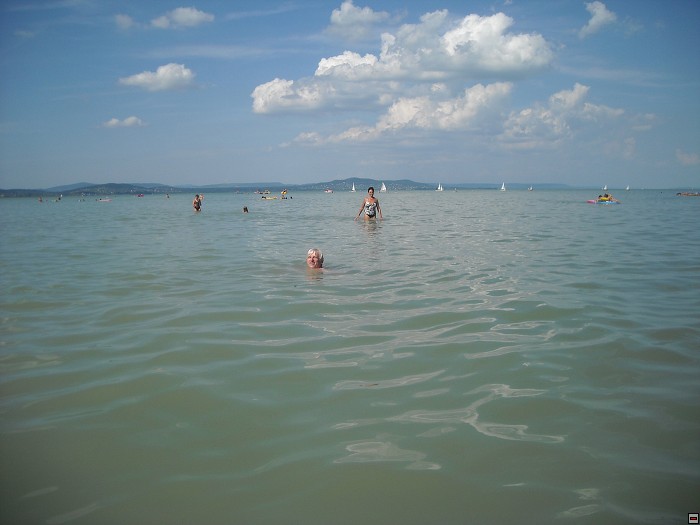 img00156.jpg