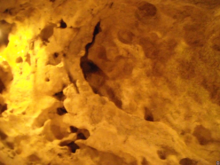 img00174.jpg