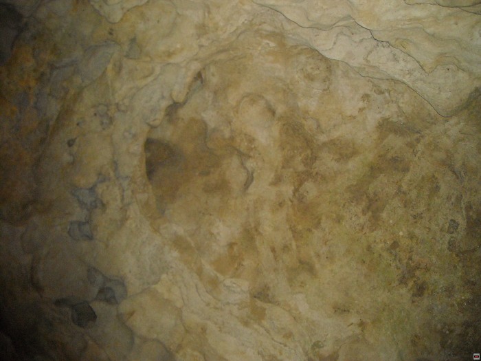 img00175.jpg