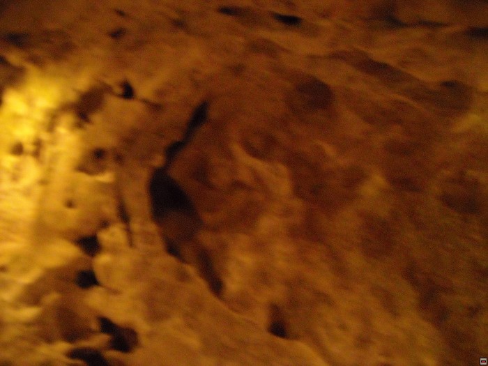 img00176.jpg