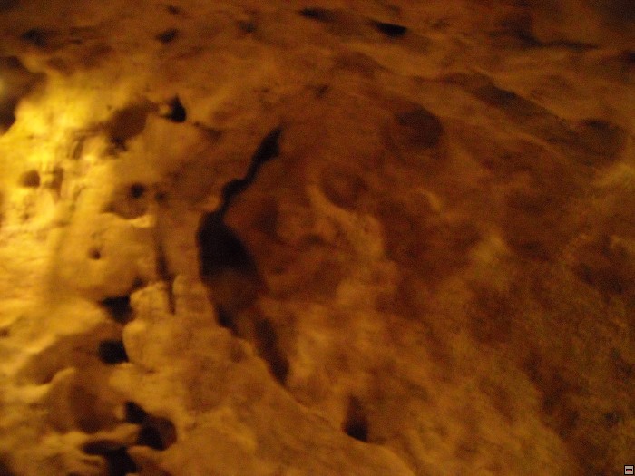 img00177.jpg
