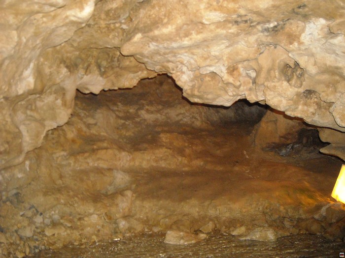 img00185.jpg
