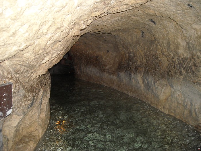 img00197.jpg