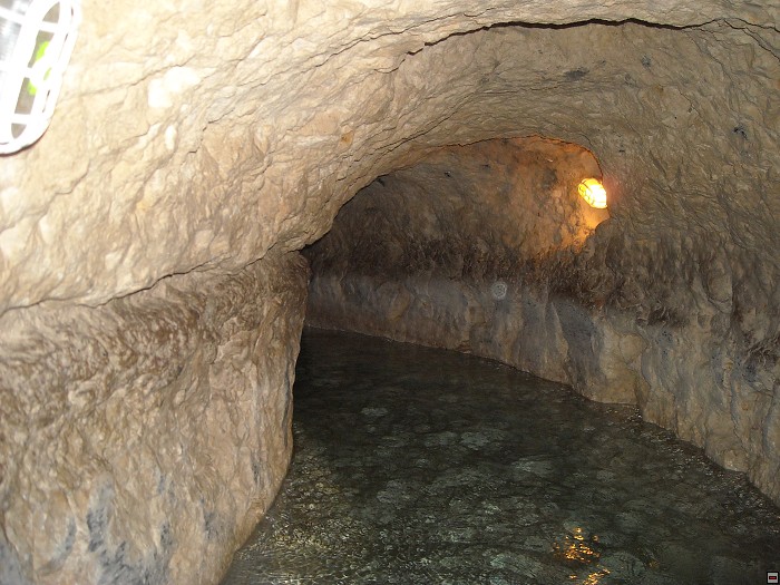img00198.jpg