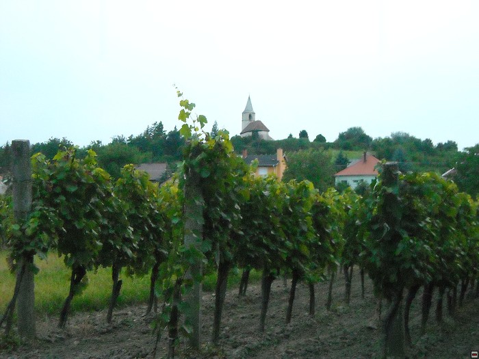 img00218.jpg
