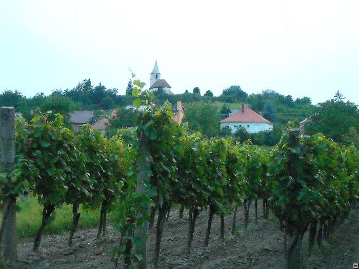img00219.jpg