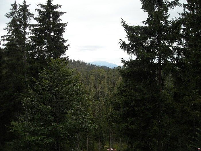 img00227.jpg