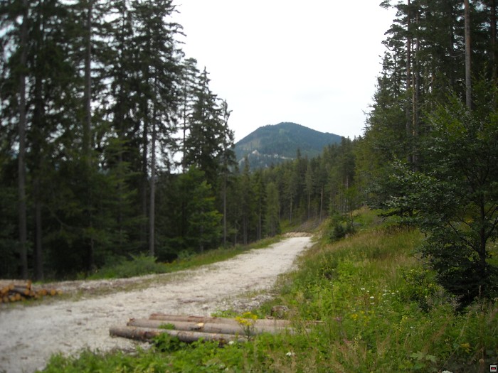 img00229.jpg
