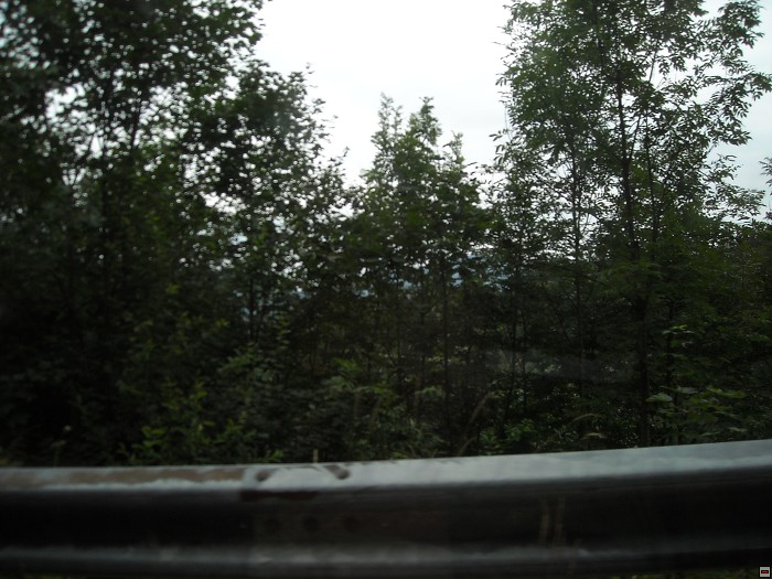 img00230.jpg